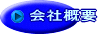 ЊTv