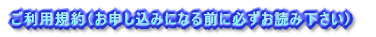 ご利用規約(お申し込みになる前に必ずお読み下さい)