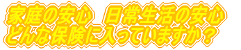 ƒ̈S@ORUOx ǂȕیɓĂ܂H